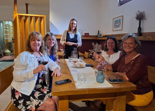 Wine tasting in Peljesac Winery